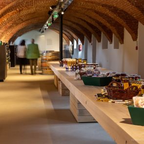 eröffnung - planconsort ztgmbh architekten + ingenieure