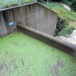 hochwasser-<br>schutz erfolgreich - planconsort ztgmbh architekten + ingenieure