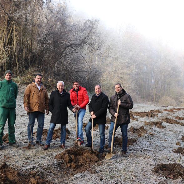 aufforstung - planconsort ztgmbh architekten + ingenieure