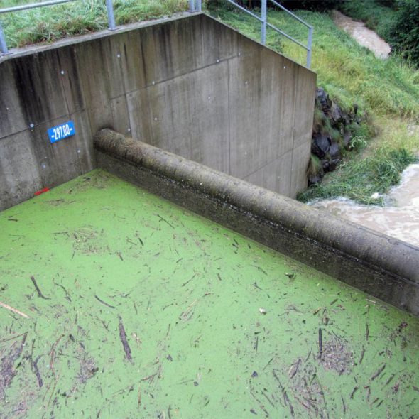 hochwasser-<br>schutz erfolgreich - planconsort ztgmbh architekten + ingenieure