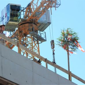 dachgleiche - planconsort ztgmbh architekten + ingenieure