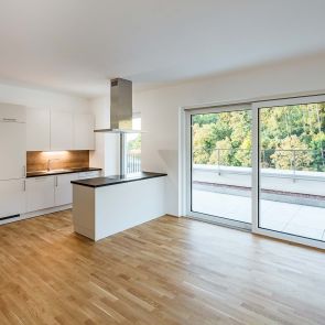 wohnen im schlosspark - planconsort ztgmbh architekten + ingenieure